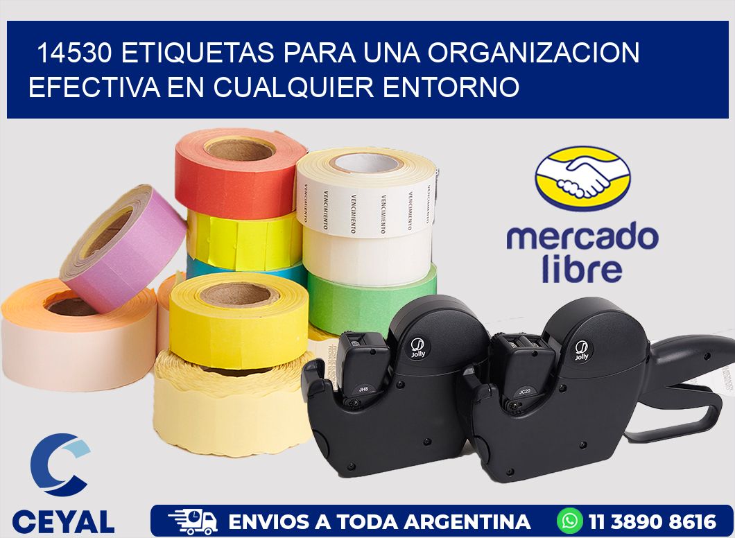 14530 ETIQUETAS PARA UNA ORGANIZACION EFECTIVA EN CUALQUIER ENTORNO