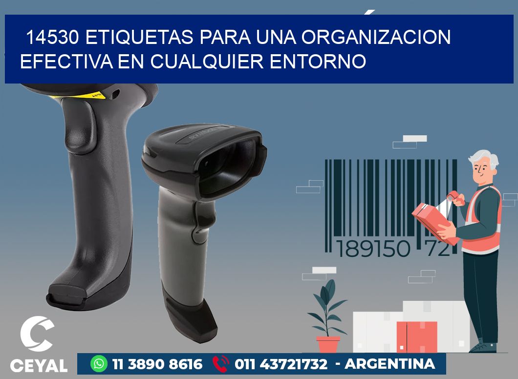 14530 ETIQUETAS PARA UNA ORGANIZACION EFECTIVA EN CUALQUIER ENTORNO