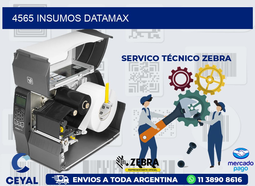 4565 INSUMOS DATAMAX