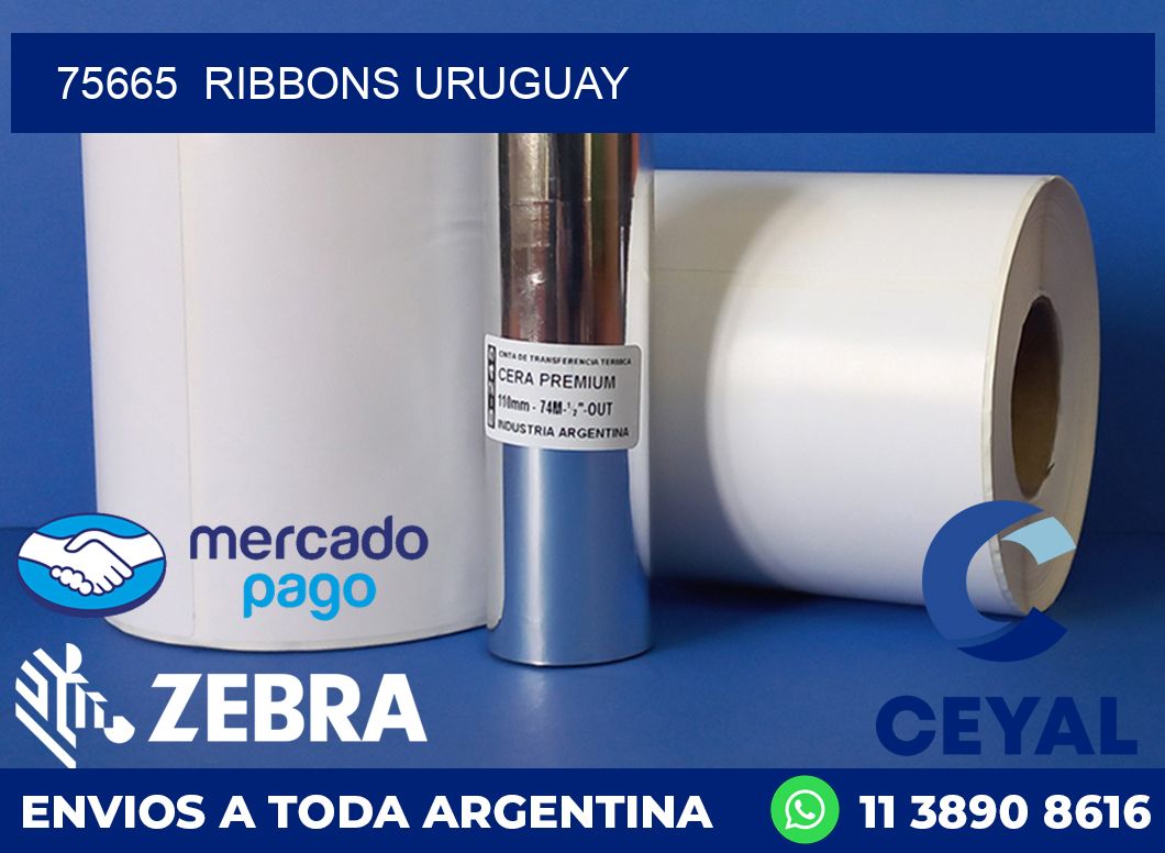 75665 RIBBONS URUGUAY