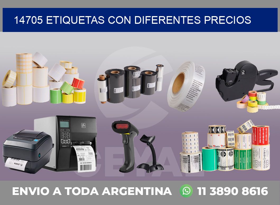 14705 ETIQUETAS CON DIFERENTES PRECIOS