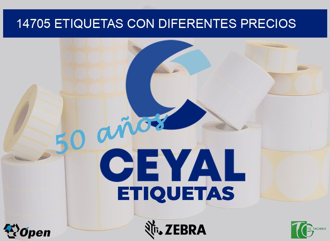14705 ETIQUETAS CON DIFERENTES PRECIOS
