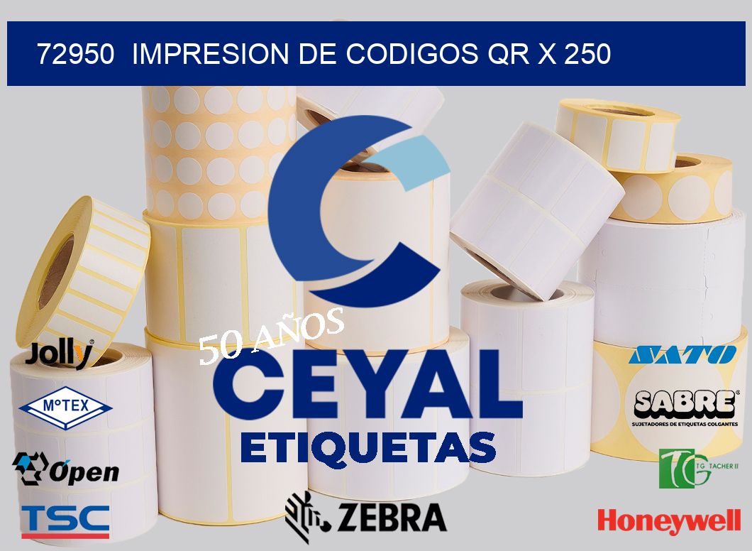 72950  impresion de codigos qr x 250