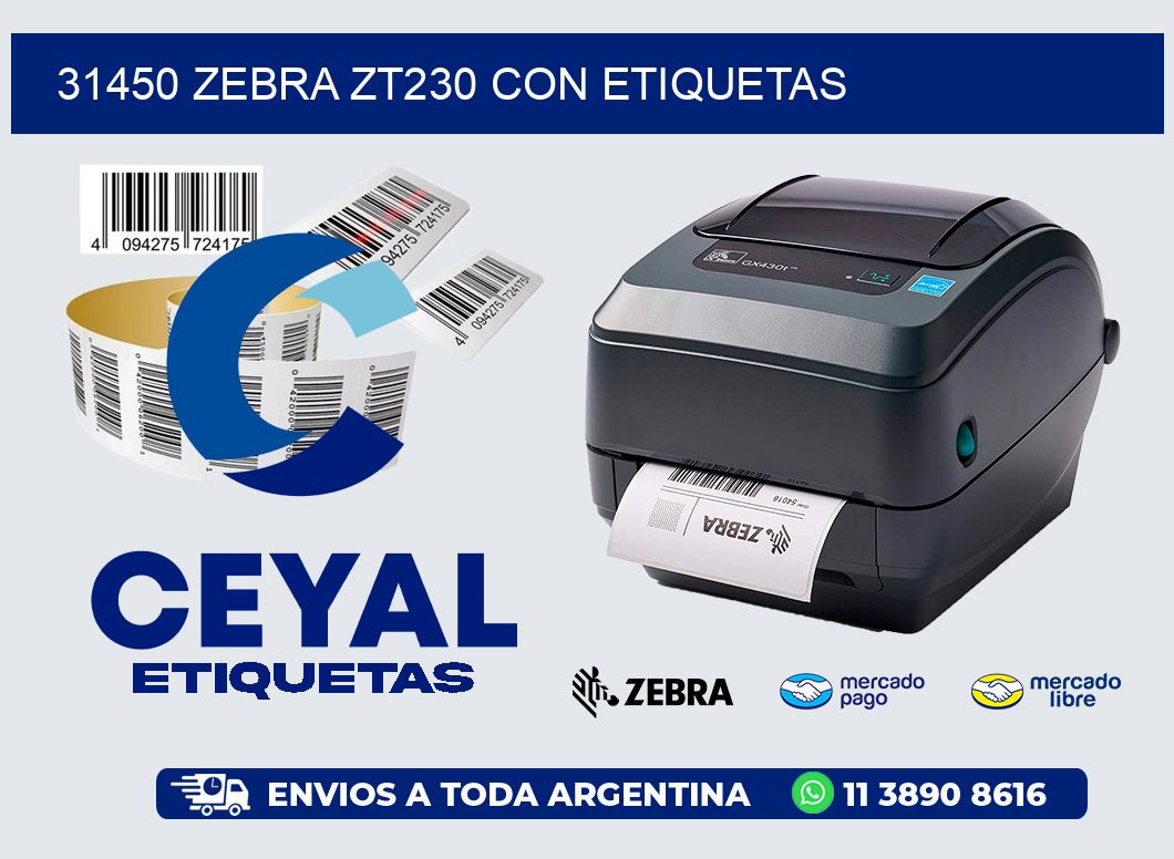 31450 Zebra ZT230 con Etiquetas