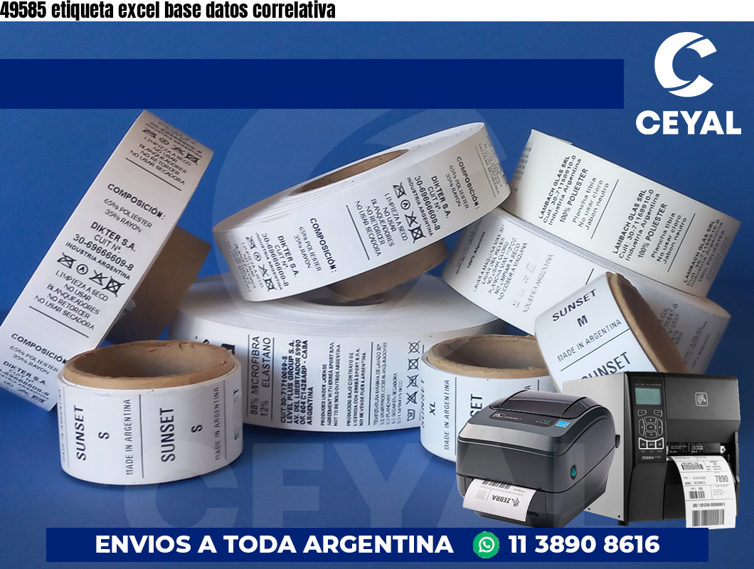 49585 etiqueta excel base datos correlativa