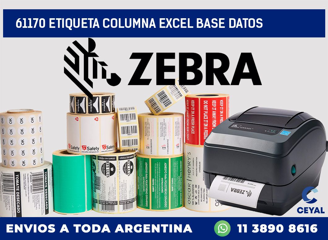 61170 etiqueta columna excel base datos