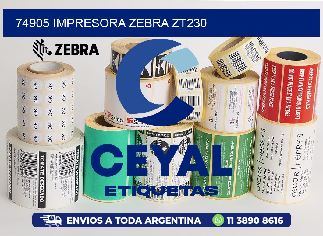 74905 Impresora Zebra ZT230