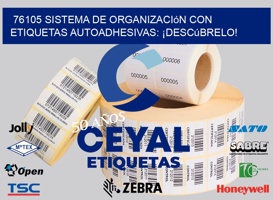 76105 Sistema de Organización con Etiquetas Autoadhesivas: ¡Descúbrelo!