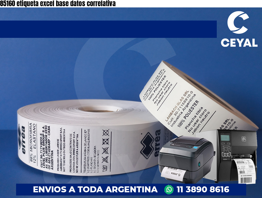 85160 etiqueta excel base datos correlativa