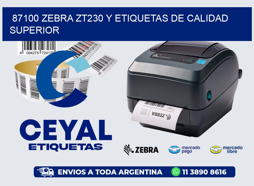 87100 Zebra ZT230 y Etiquetas de Calidad Superior