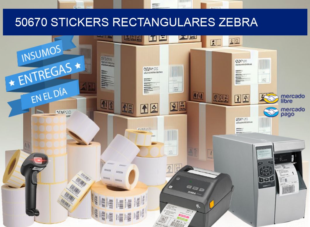 50670 Stickers rectangulares zebra