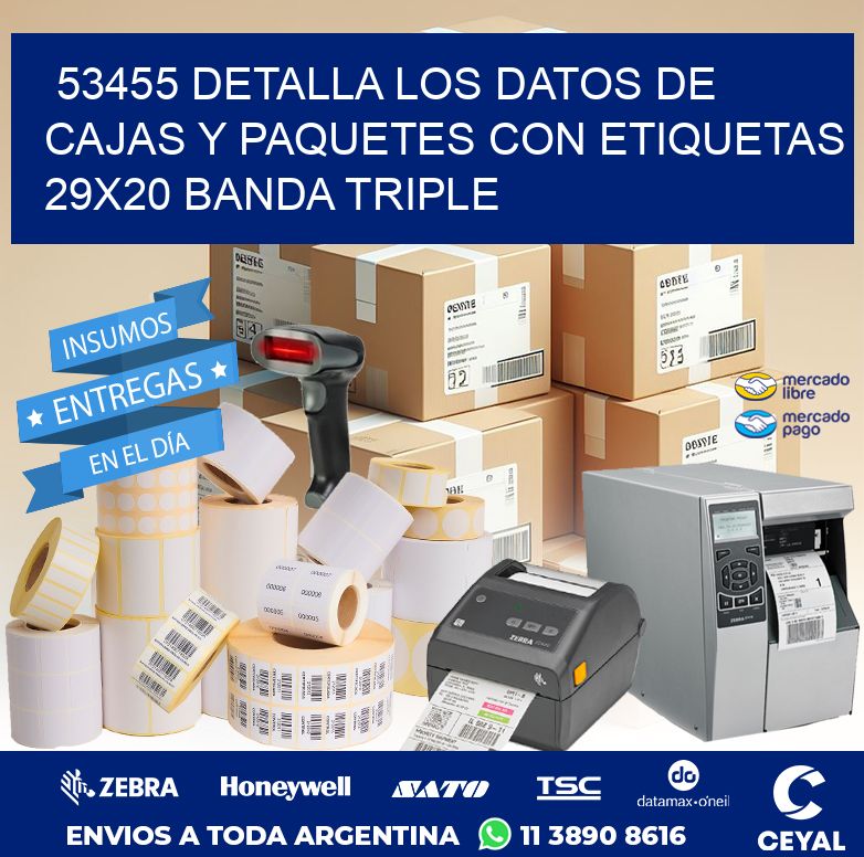 53455 DETALLA LOS DATOS DE CAJAS Y PAQUETES CON ETIQUETAS 29X20 BANDA TRIPLE