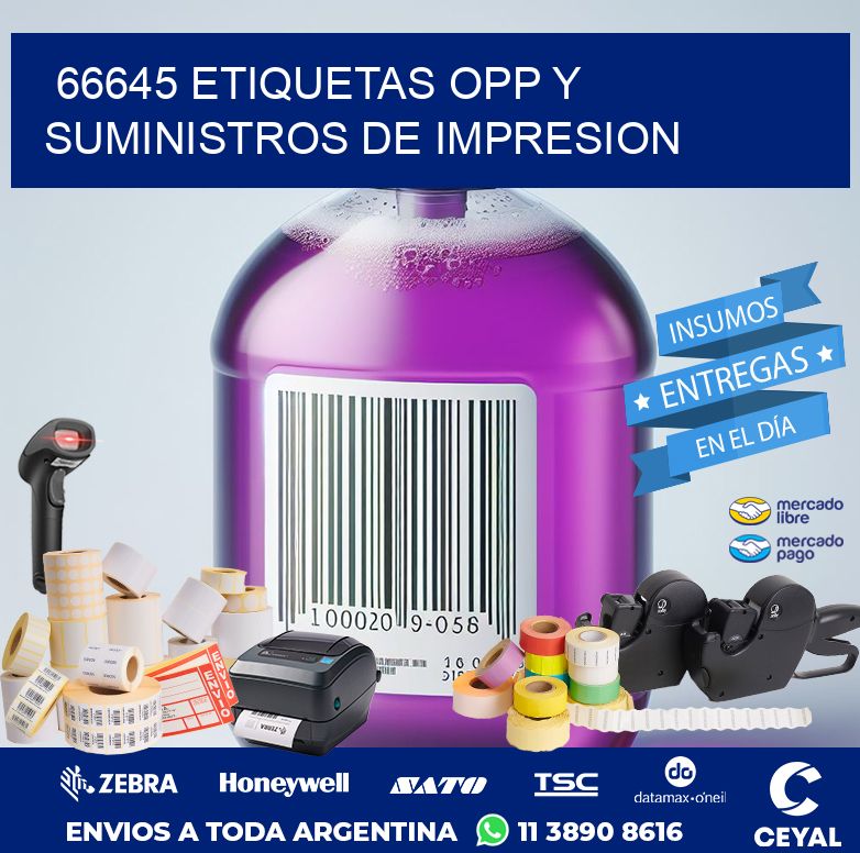 66645 ETIQUETAS OPP Y SUMINISTROS DE IMPRESION