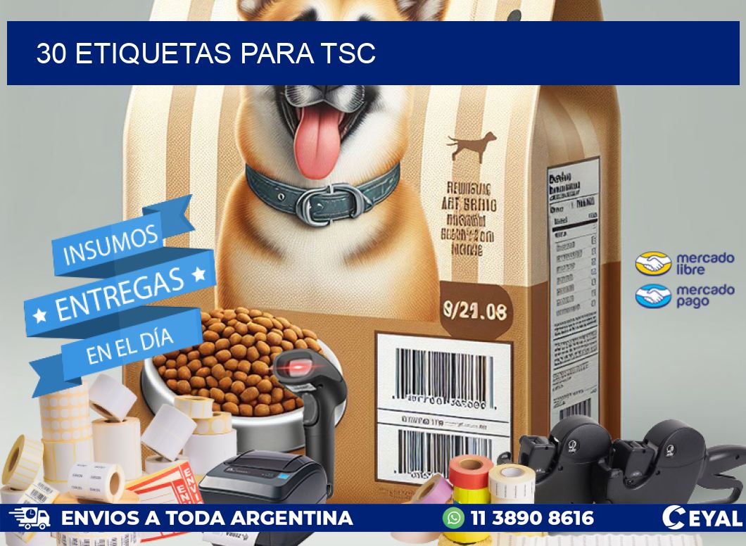 30 ETIQUETAS PARA TSC