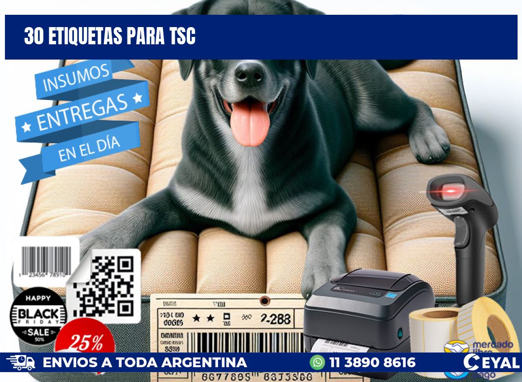 30 ETIQUETAS PARA TSC