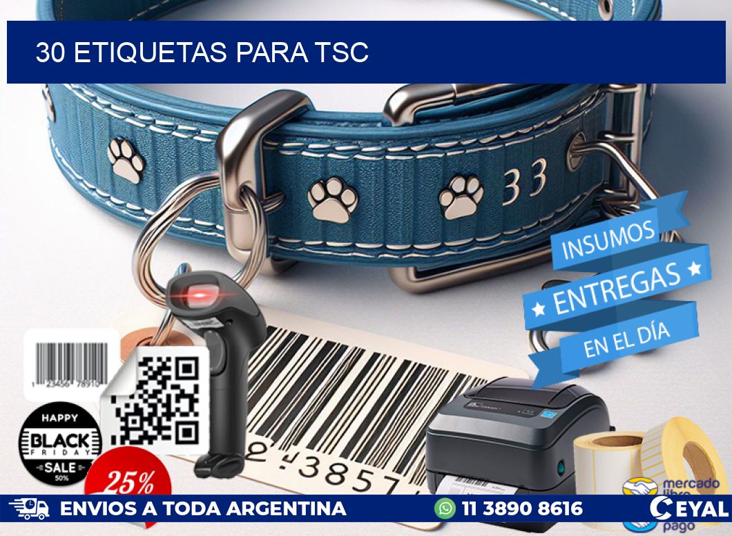 30 ETIQUETAS PARA TSC