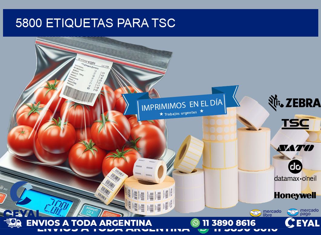 5800 ETIQUETAS PARA TSC