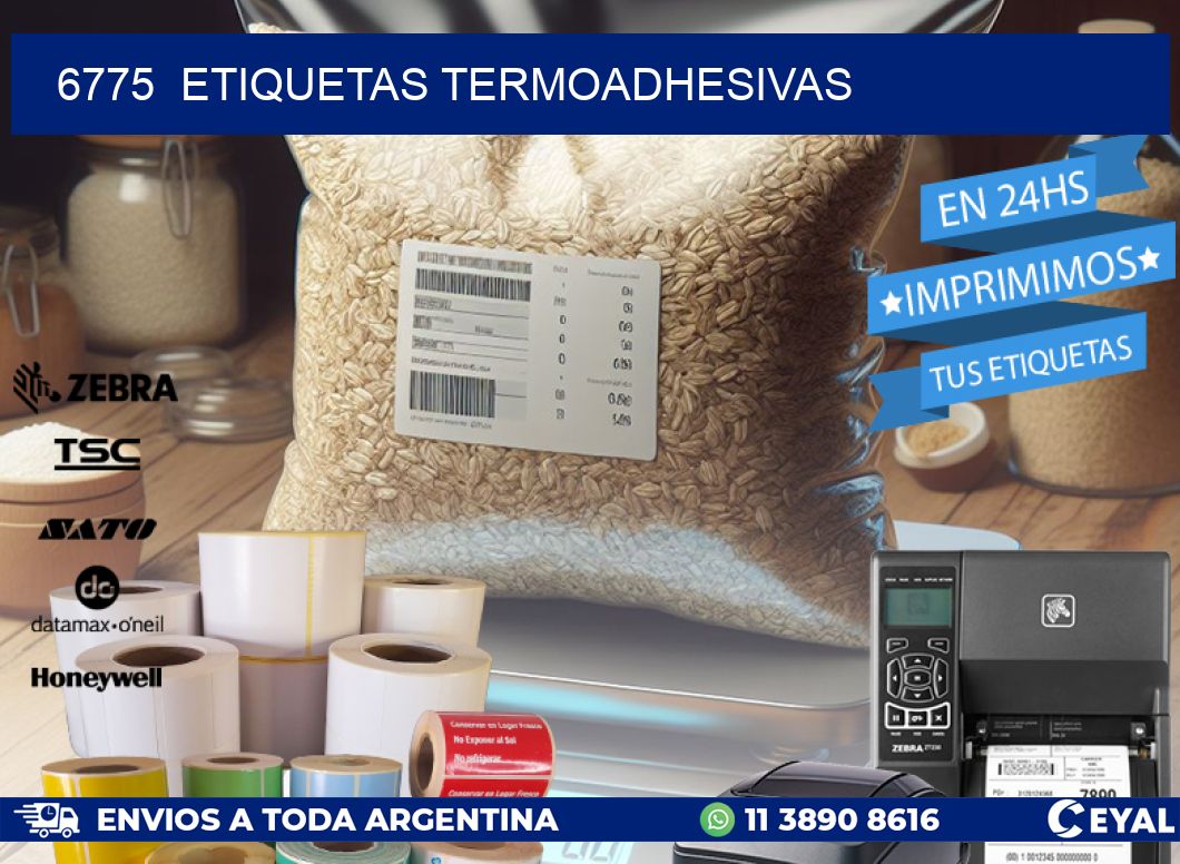 6775 ETIQUETAS TERMOADHESIVAS