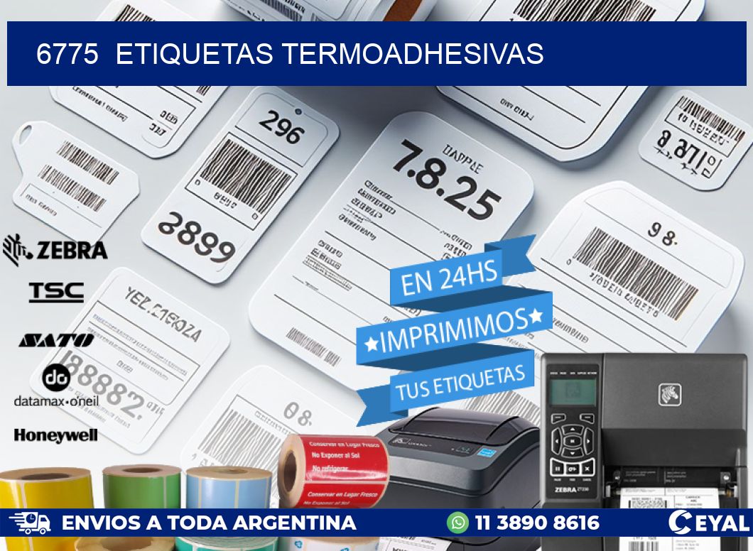 6775 ETIQUETAS TERMOADHESIVAS