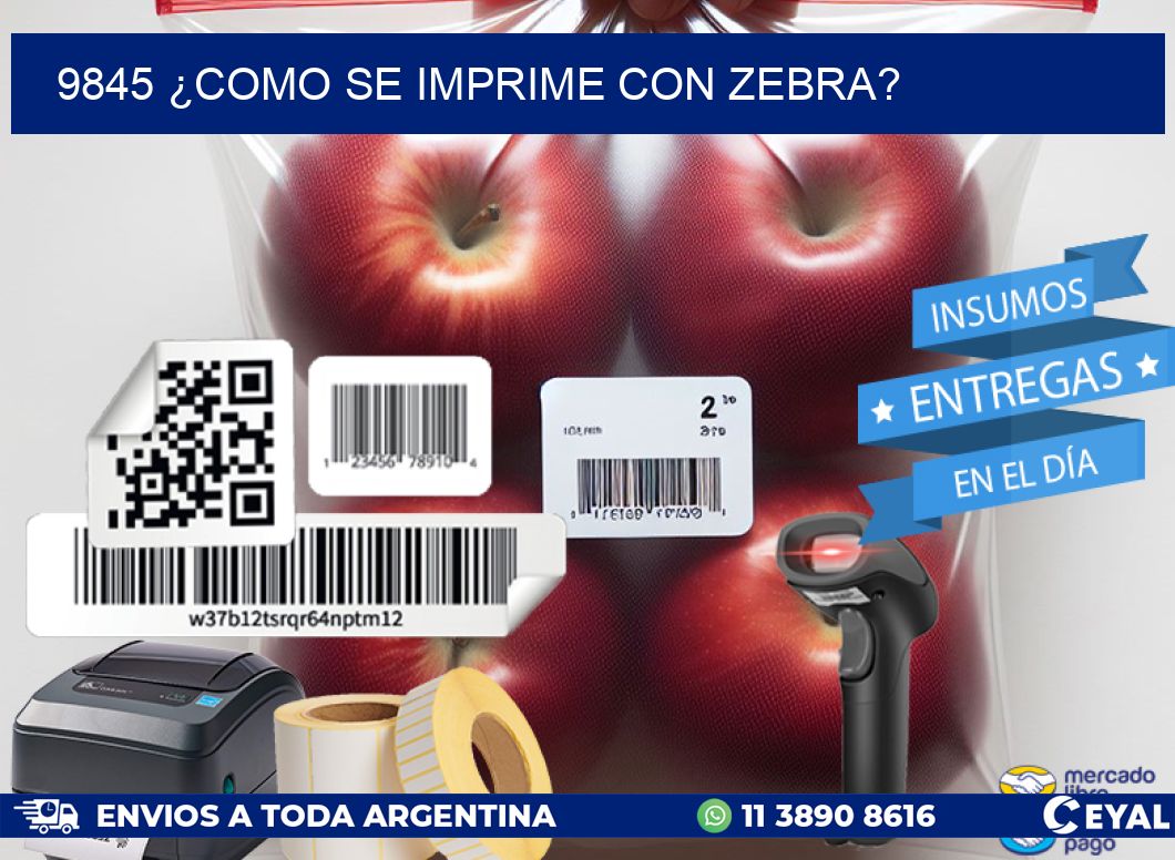 9845 ¿COMO SE IMPRIME CON ZEBRA?