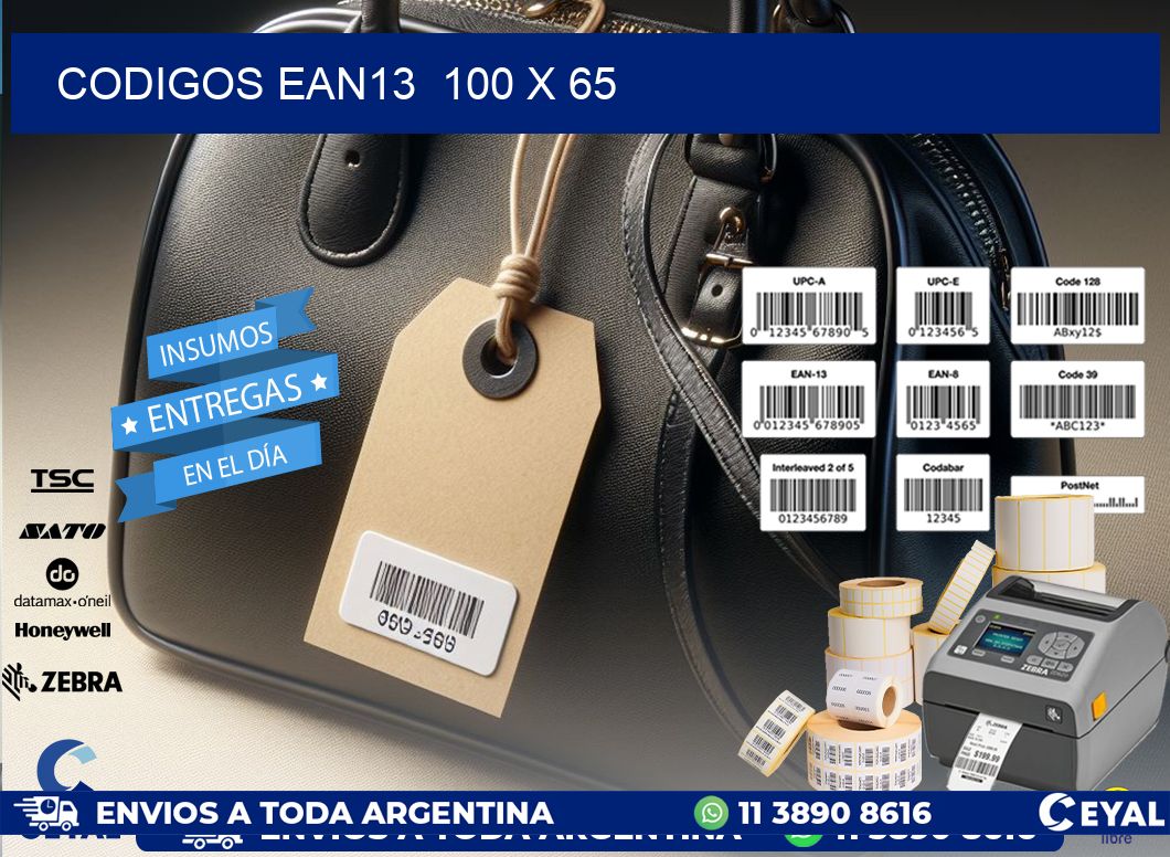 CODIGOS EAN13  100 x 65