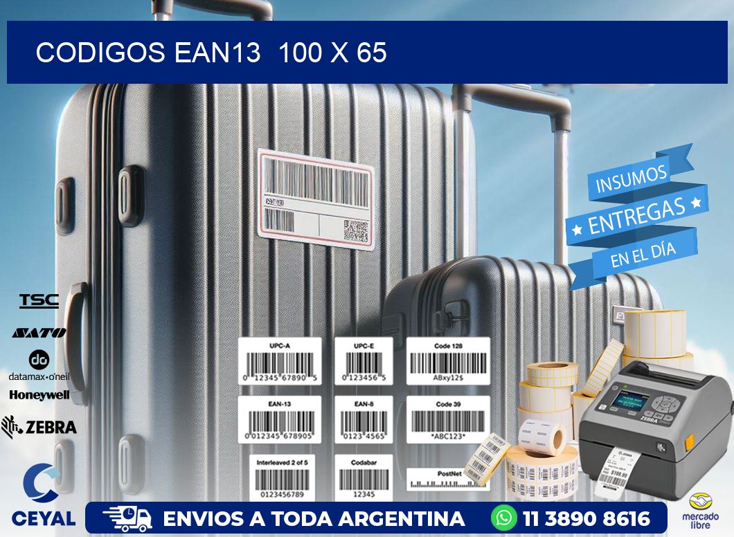 CODIGOS EAN13  100 x 65