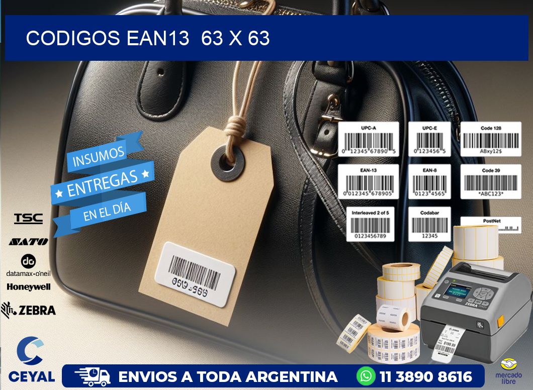 CODIGOS EAN13  63 x 63