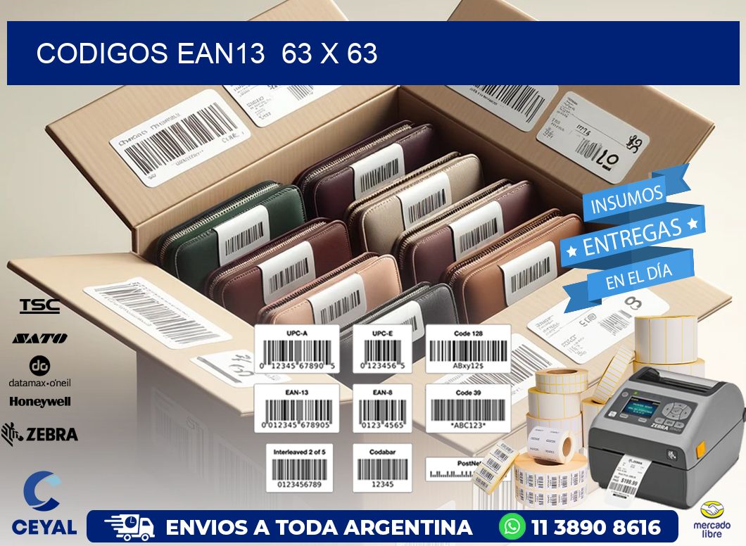 CODIGOS EAN13  63 x 63