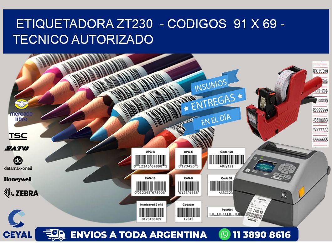 ETIQUETADORA ZT230  - CODIGOS  91 x 69 - TECNICO AUTORIZADO
