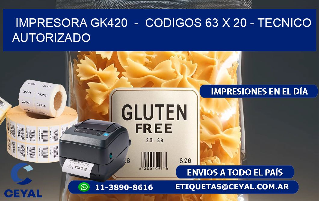 IMPRESORA GK420  -  CODIGOS 63 x 20 - TECNICO AUTORIZADO