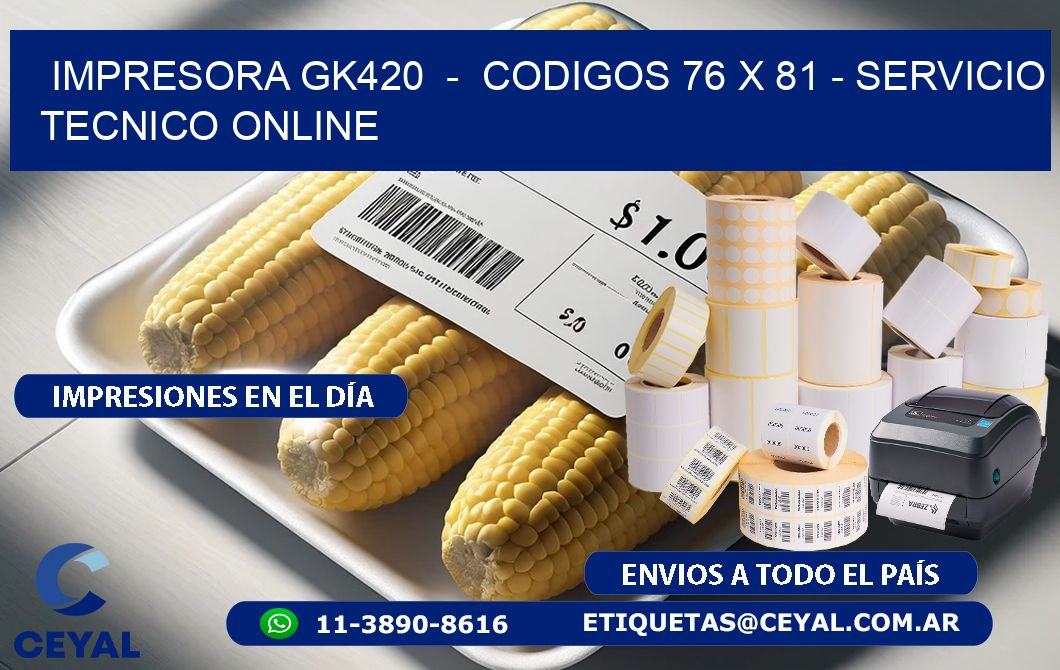 IMPRESORA GK420  -  CODIGOS 76 x 81 - SERVICIO TECNICO ONLINE