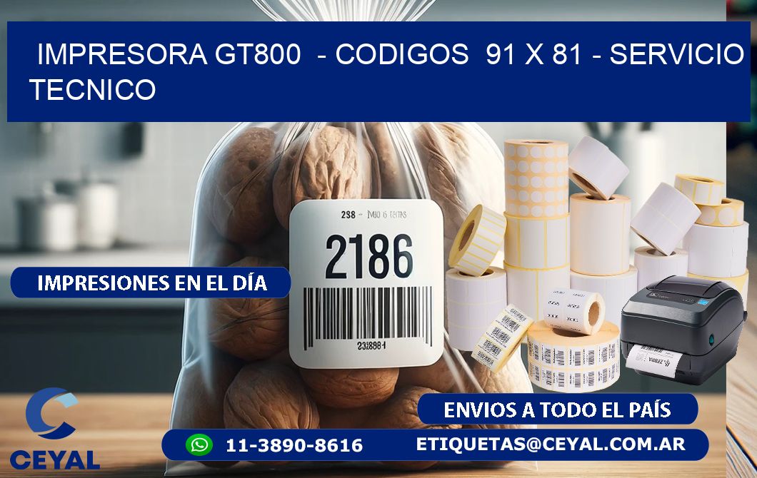 IMPRESORA GT800  - CODIGOS  91 x 81 - SERVICIO TECNICO