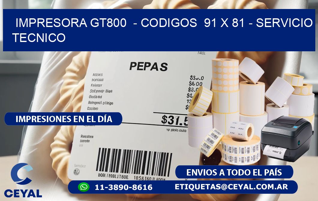 IMPRESORA GT800  - CODIGOS  91 x 81 - SERVICIO TECNICO