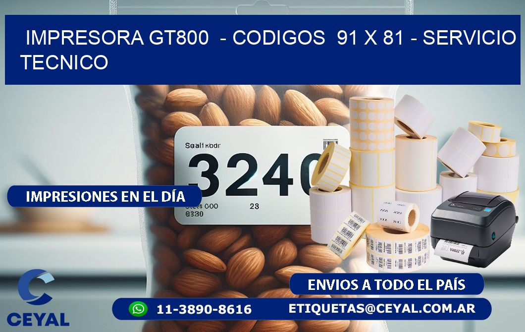 IMPRESORA GT800  – CODIGOS  91 x 81 – SERVICIO TECNICO