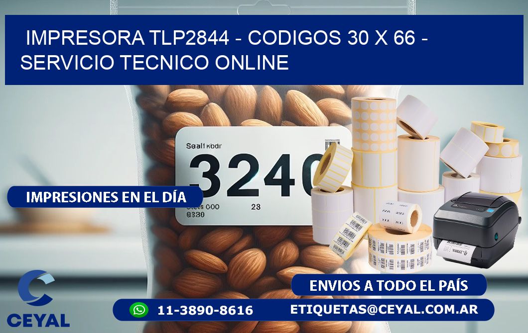 IMPRESORA TLP2844 - CODIGOS 30 x 66 - SERVICIO TECNICO ONLINE