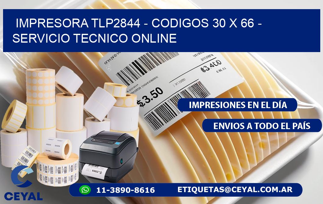 IMPRESORA TLP2844 - CODIGOS 30 x 66 - SERVICIO TECNICO ONLINE