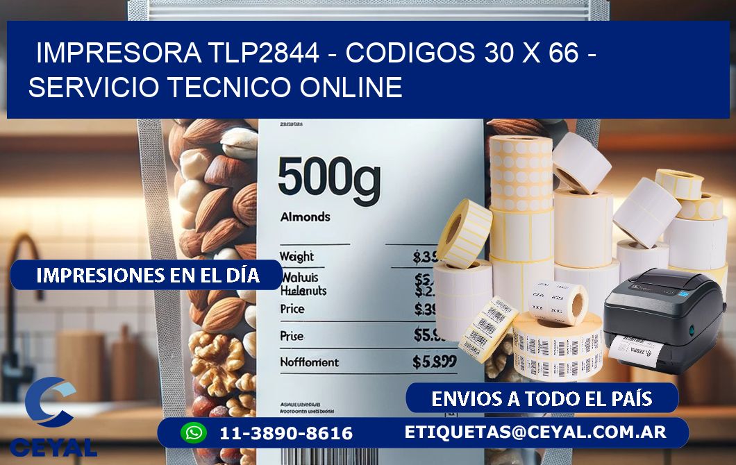 IMPRESORA TLP2844 - CODIGOS 30 x 66 - SERVICIO TECNICO ONLINE