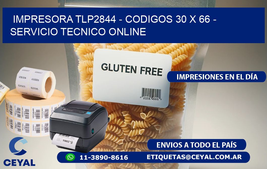 IMPRESORA TLP2844 - CODIGOS 30 x 66 - SERVICIO TECNICO ONLINE