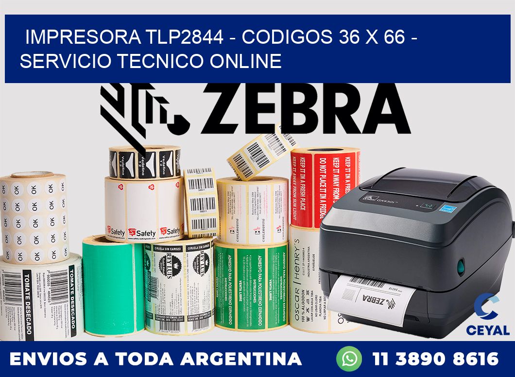 IMPRESORA TLP2844 - CODIGOS 36 x 66 - SERVICIO TECNICO ONLINE