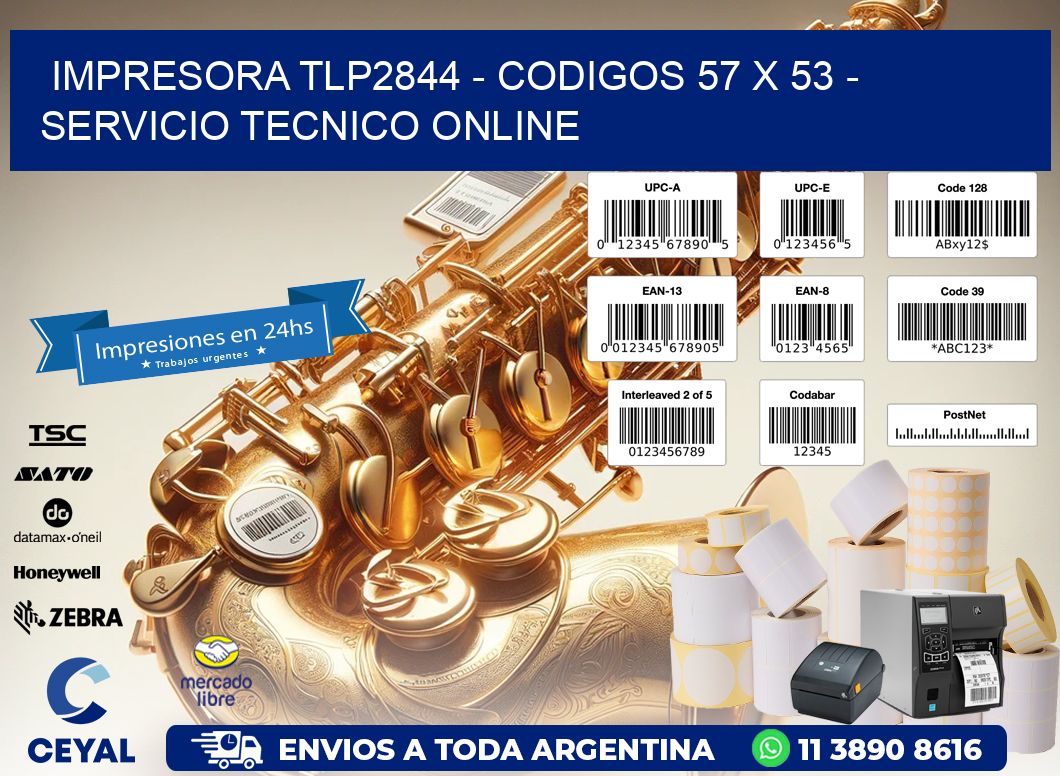 IMPRESORA TLP2844 - CODIGOS 57 x 53 - SERVICIO TECNICO ONLINE