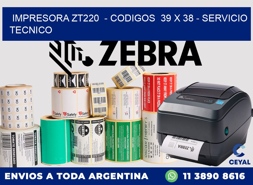 IMPRESORA ZT220  - CODIGOS  39 x 38 - SERVICIO TECNICO