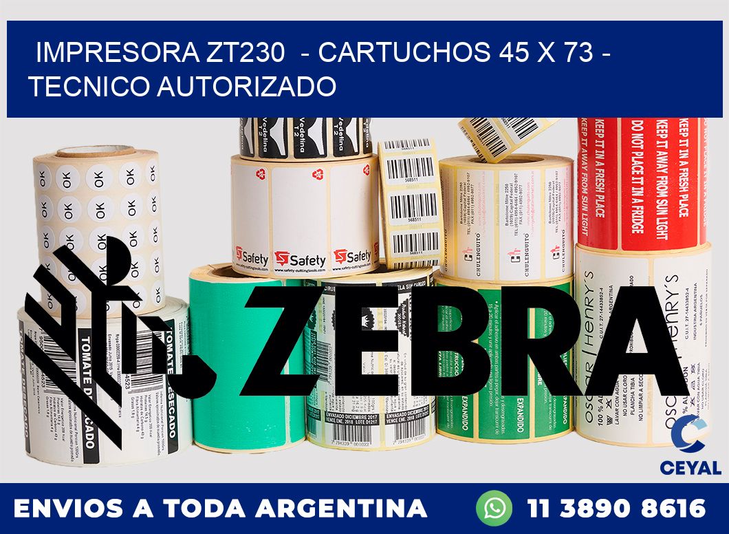 IMPRESORA ZT230  - CARTUCHOS 45 x 73 - TECNICO AUTORIZADO