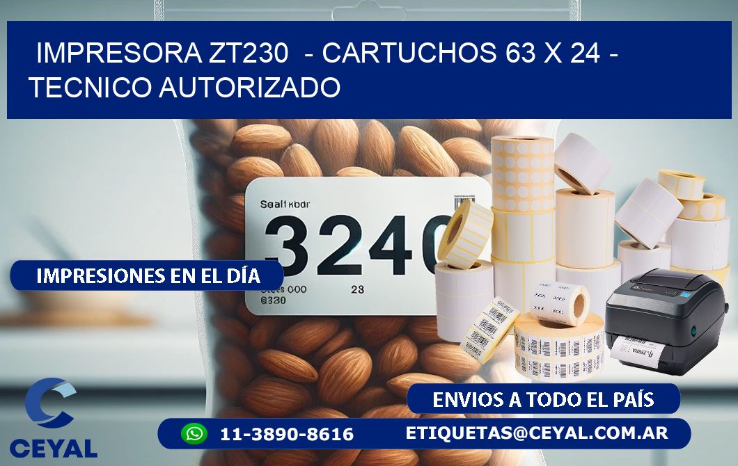 IMPRESORA ZT230  - CARTUCHOS 63 x 24 - TECNICO AUTORIZADO