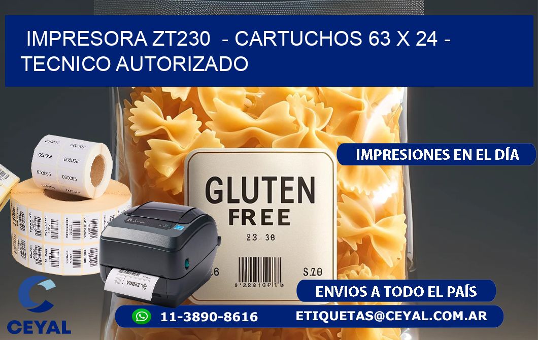 IMPRESORA ZT230  - CARTUCHOS 63 x 24 - TECNICO AUTORIZADO