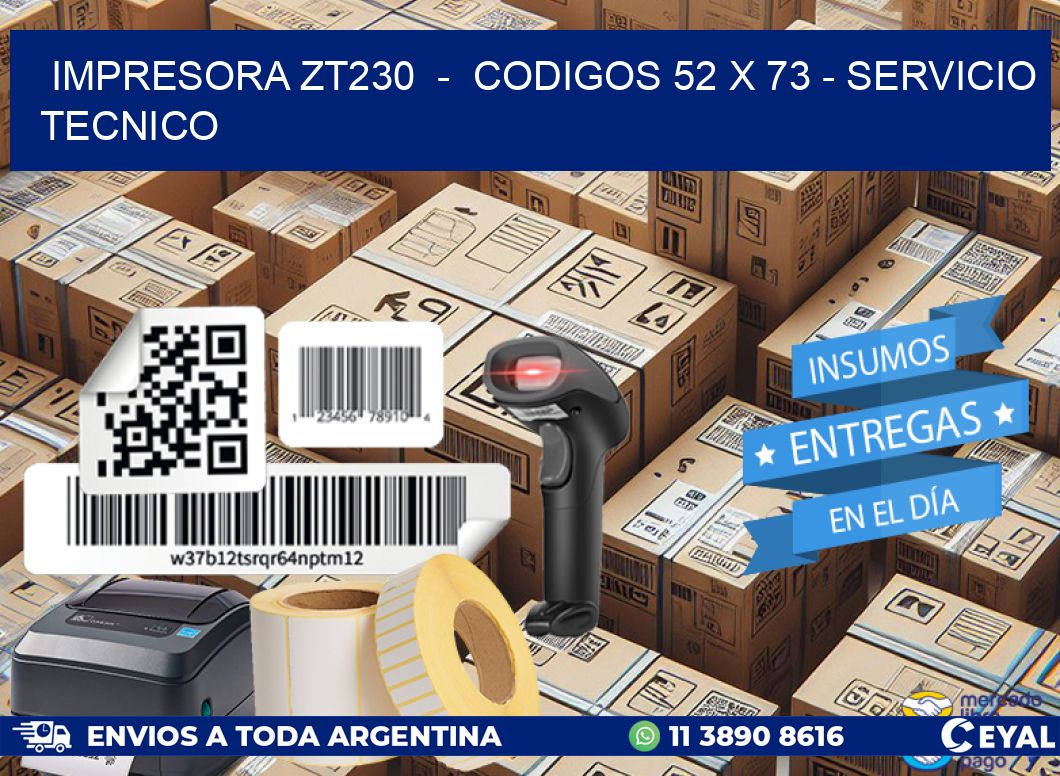 IMPRESORA ZT230  -  CODIGOS 52 x 73 - SERVICIO TECNICO