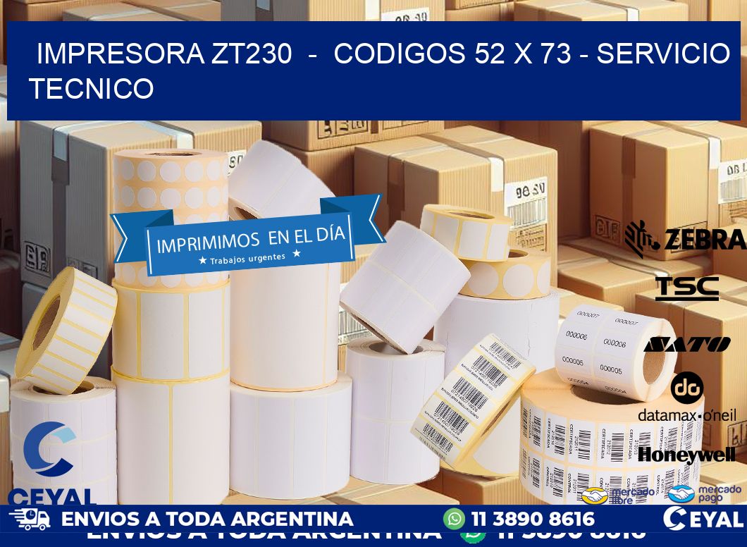 IMPRESORA ZT230  -  CODIGOS 52 x 73 - SERVICIO TECNICO