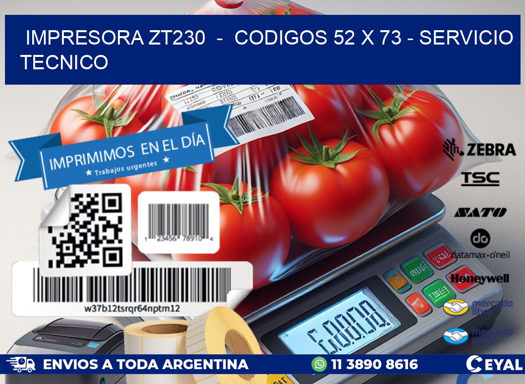 IMPRESORA ZT230  -  CODIGOS 52 x 73 - SERVICIO TECNICO