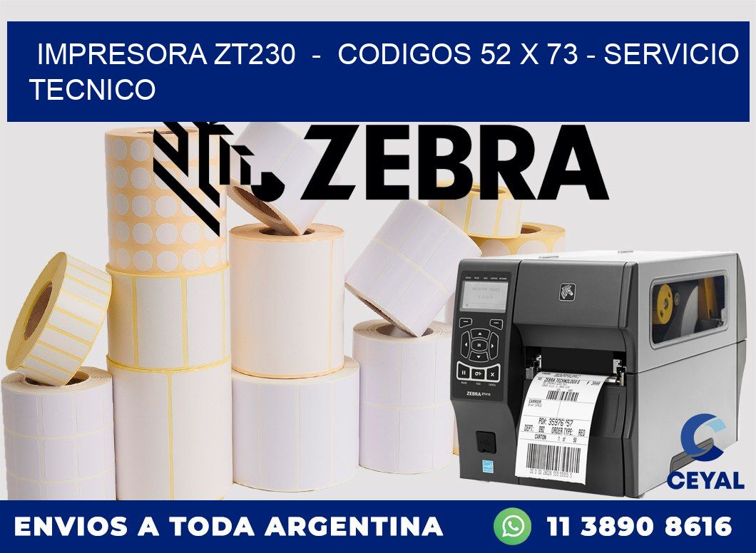 IMPRESORA ZT230  -  CODIGOS 52 x 73 - SERVICIO TECNICO