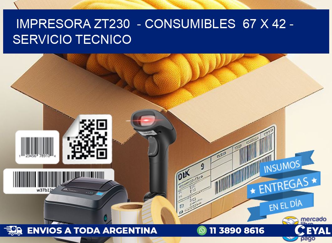 IMPRESORA ZT230  - CONSUMIBLES  67 x 42 - SERVICIO TECNICO