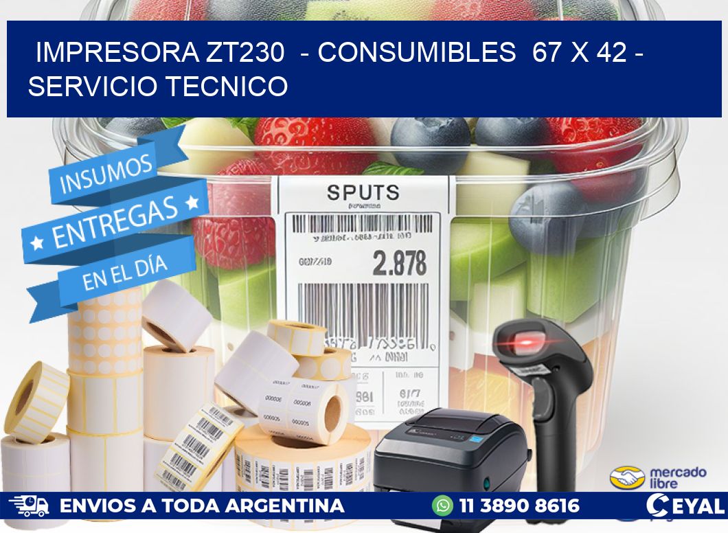 IMPRESORA ZT230  - CONSUMIBLES  67 x 42 - SERVICIO TECNICO